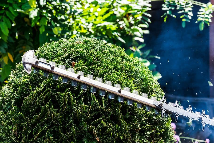 Person using a hedge trimmer for property maintenance